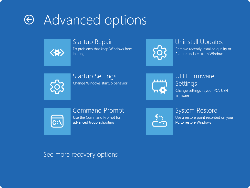 Advanced Options